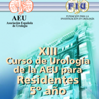 Curso de Urología