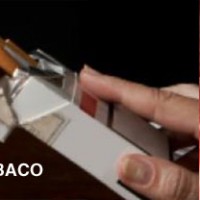 DÍA MUNDIAL SIN TABACO 31 DE MAYO