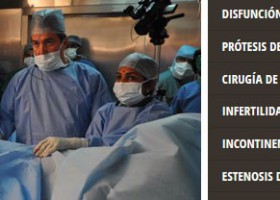 Reconstructive Surgery: European Masterclass