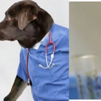 Cáncer de Próstata