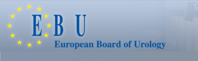 European Board of Urology